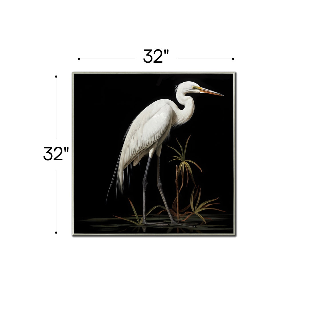 Midnight Heron I