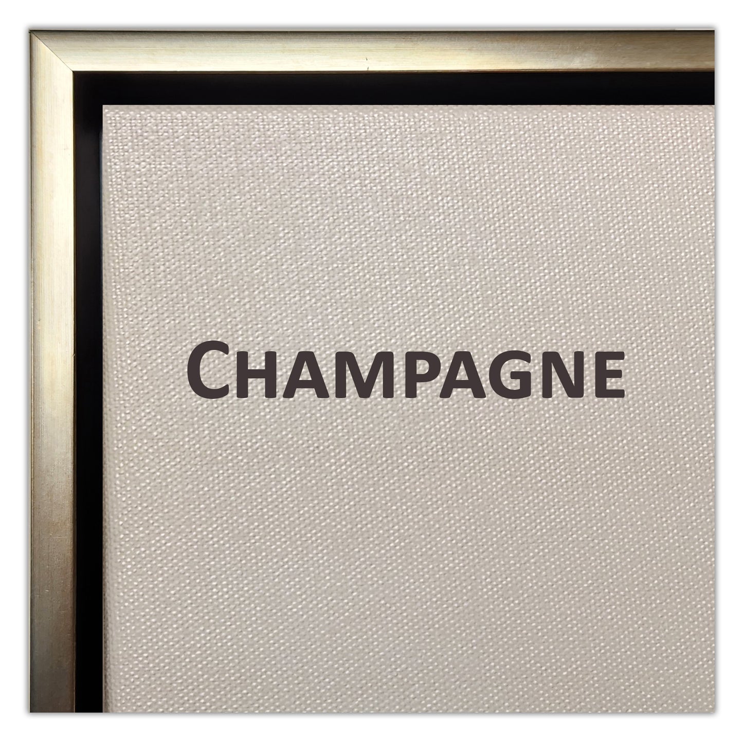 A Moose in Winter in Jasper