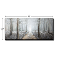 Misty Woods