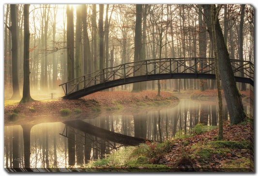 Bridge Over Troubled Waters