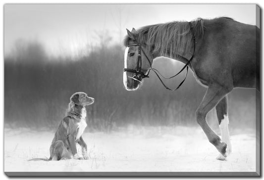 Horse and Retriever