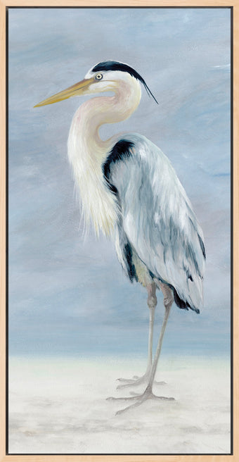 compare product Coastal Calm Proud