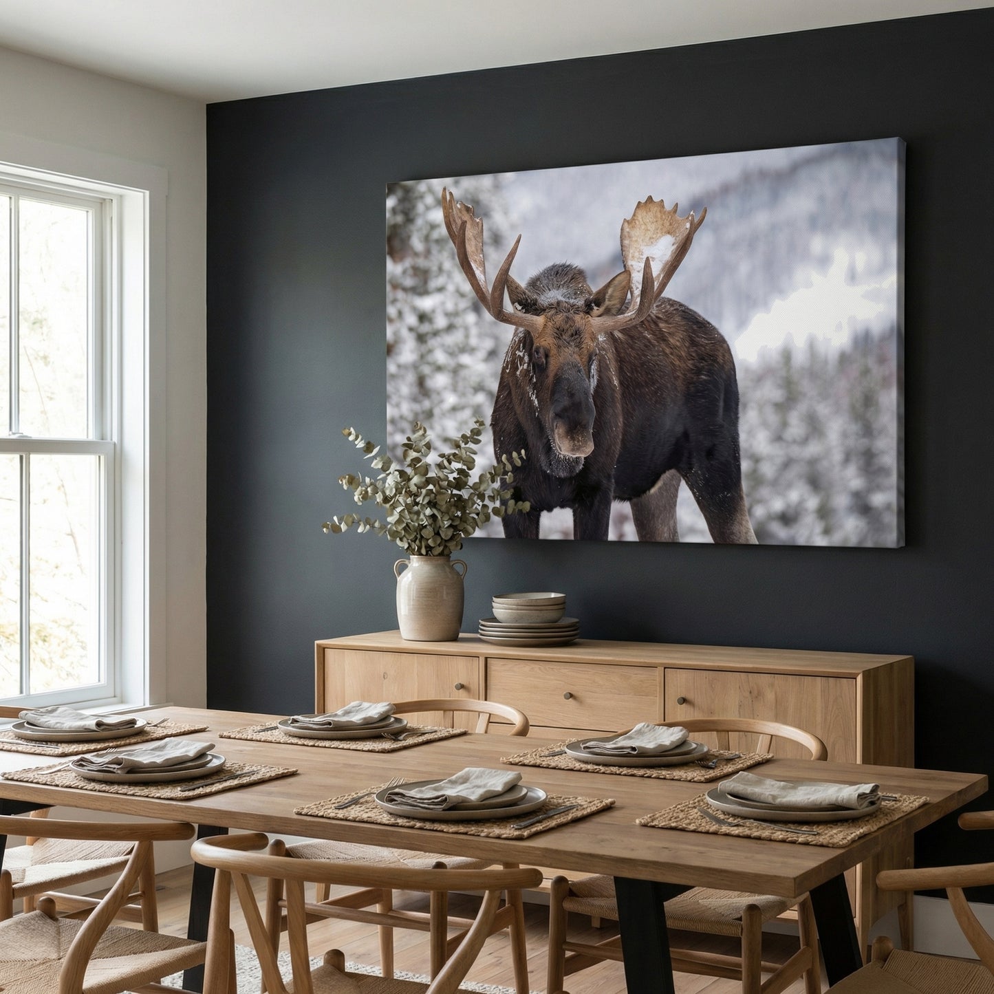 A Moose in Winter in Jasper