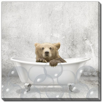 compare product Baby Bear Bath
