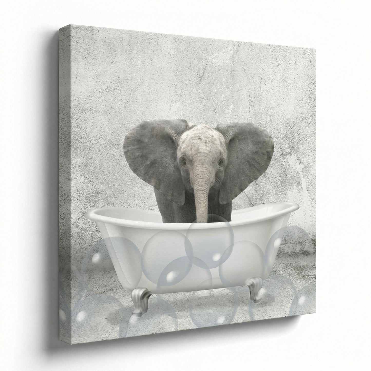Baby Elephant Bath