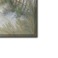 Pathway Through Dunes