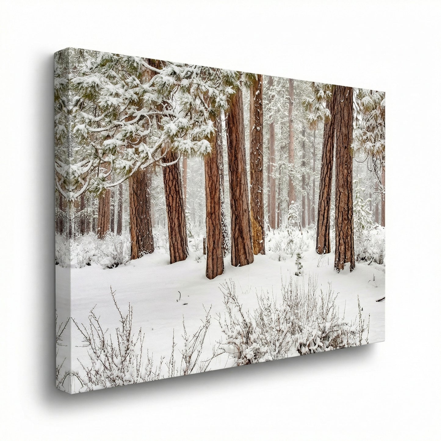 Winter Forest
