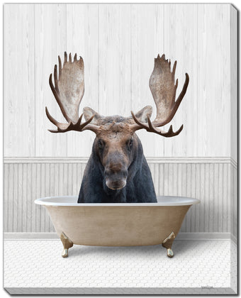 compare product Bath Time Moose