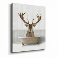 Bath Time Deer