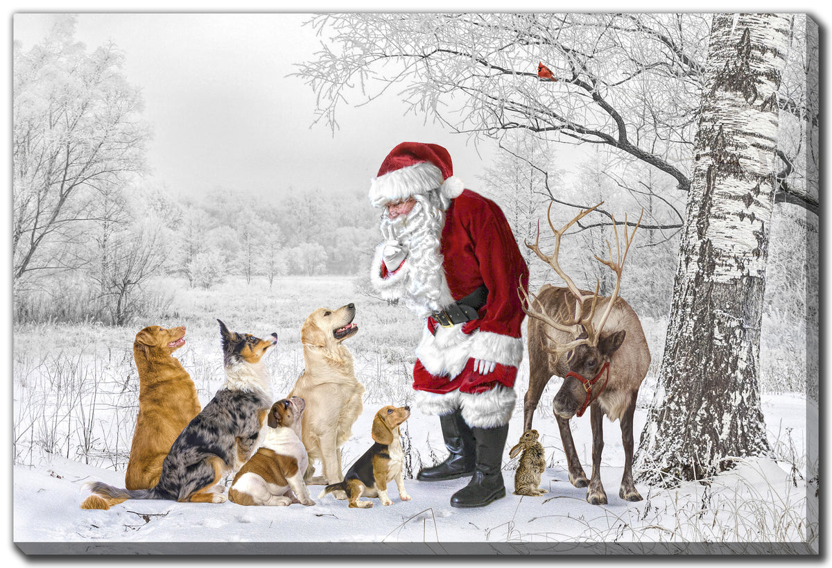 Pups Find Santa