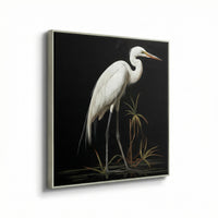 Midnight Heron I