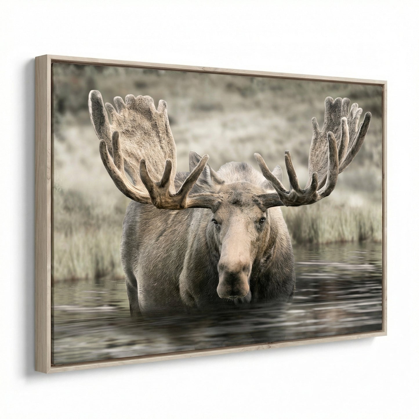 Moose Hot Springs
