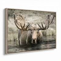 Moose Hot Springs