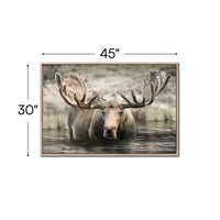 Moose Hot Springs