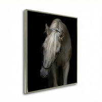Mystical Horse