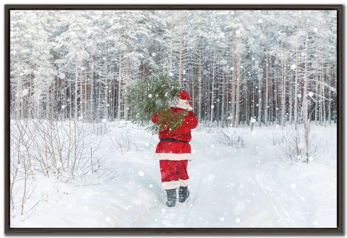 Santa's Christmas Tree Hunt