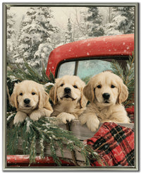 Lab Puppies Christmas Pickup